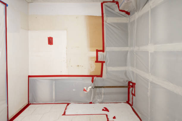 Best Emergency Mold Remediation  in Stanley, ND